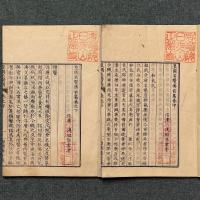 皇国名医傳