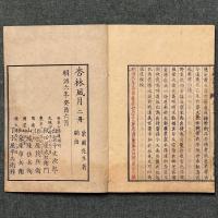 皇国名医傳