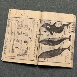 除蝗録