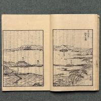 萍の跡