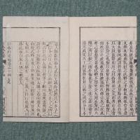 日本外史補
