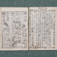 女郎花五色石臺
