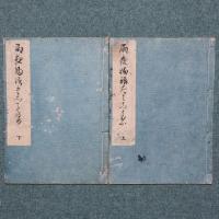 雨夜物語だみことば
