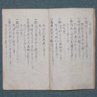 写本 護国女太平記