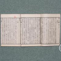 新論