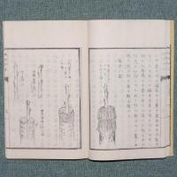 種樹秘要