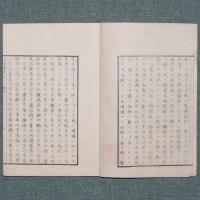 十字號糞培例