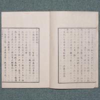 十字號糞培例