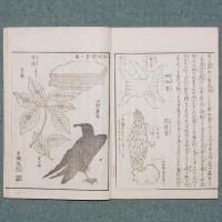 信濃奇勝録
