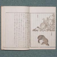 信濃奇勝録