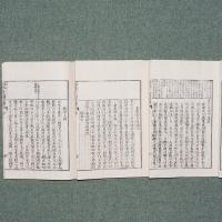 訳本芥子園画伝
