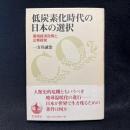 低炭素化時代の日本の選択　環境経済政策と企業経営