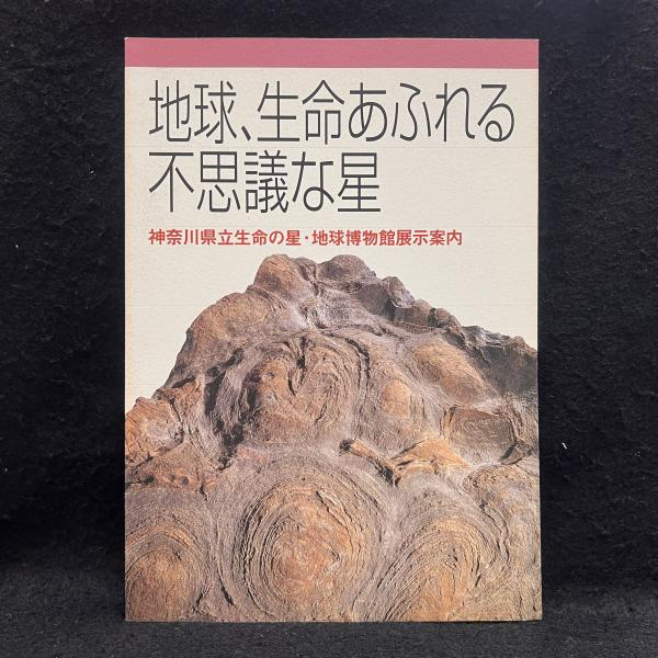 田辺元全集 第9巻 懺悔道としての哲学/実存と愛と実践 / 丸三