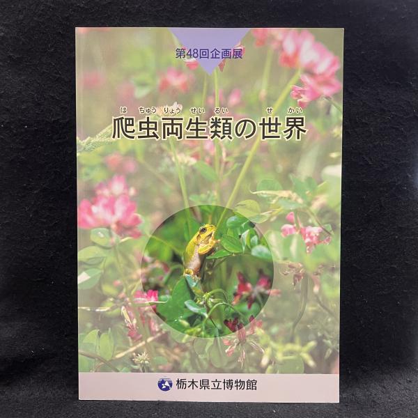 □中国の歴史 新版 全12巻揃 講談社 礪波護・尾形勇・鶴間和幸・