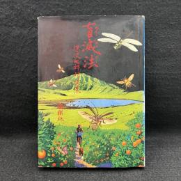 盲滅法 : 深沢七郎対談集