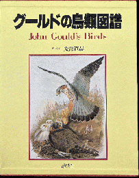 グールドの鳥類図譜