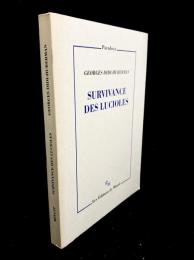 Survivance des lucioles