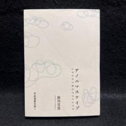 アノニマスケイプこんにちは二十世紀 ＜平成写真文庫 5＞