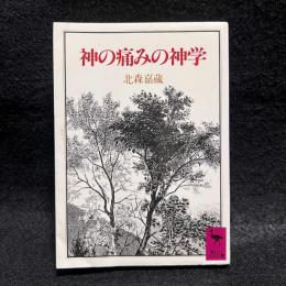 神の痛みの神学 ＜講談社学術文庫＞
