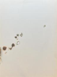 時光 蔡國強と資生堂