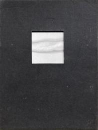 Les autoportraits de Mapplethorpe