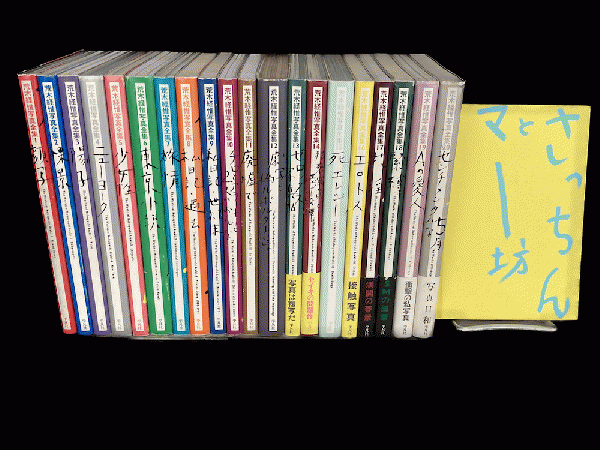 荒木経惟写真全集 全20巻 ＋さっちんとマー坊 - 古書ビビビ