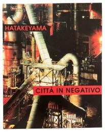 CITTÁ IN NEGATIVO 【Signed】