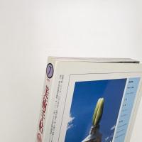 美術手帖　2003年7月号