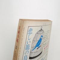 美術手帖　1969年11月号