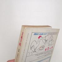 美術手帖　1971年1月号