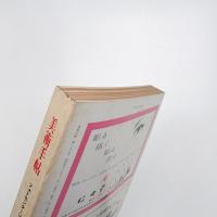 美術手帖　1973年11月号