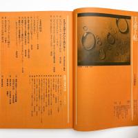 美術手帖　1975年4月号