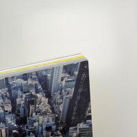 水都大阪2009 水辺の文化座 ドキュメントブック