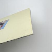 人、イヌと歩く イヌをめぐる民族誌