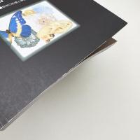 美術と博物展 自然の形態と神秘