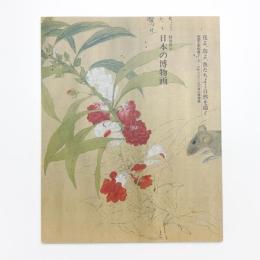 花よ、鳥よ、魚たちよ…自然を描く 英国王室秘蔵マーク・ケイツビーと日本の博物画 特別展示 日本の博物画