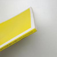 記録集　ヨコハマトリエンナーレ2014　華氏451の芸術: 世界の中心には忘却の海がある