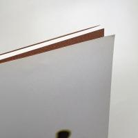 シガ・アニュアル '97 紙 生まれ変わる造形