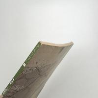 ART VIVANT アール・ヴィヴァン 2号　特集=川原慶賀