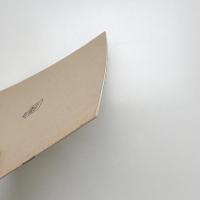 発見する記号表現 アンリ・ミショー