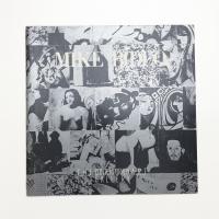 増殖する絵画 マイク・ビドゥロ