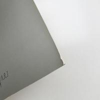 写真のモダニズムⅡ 知られざる中山岩太