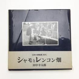 シャモとレンコン畑 日本の原風景 河内