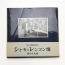 シャモとレンコン畑 日本の原風景 河内