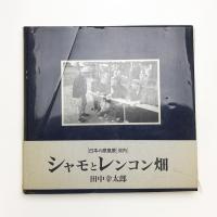 シャモとレンコン畑 日本の原風景 河内