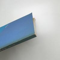 美〈術〉から〈美〉術へ 百年前の表現