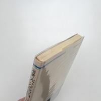 大いなる自由 新装版