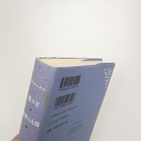 額の星 無数の太陽