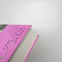 ヴァインランド