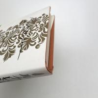 ル・クレジオは語る